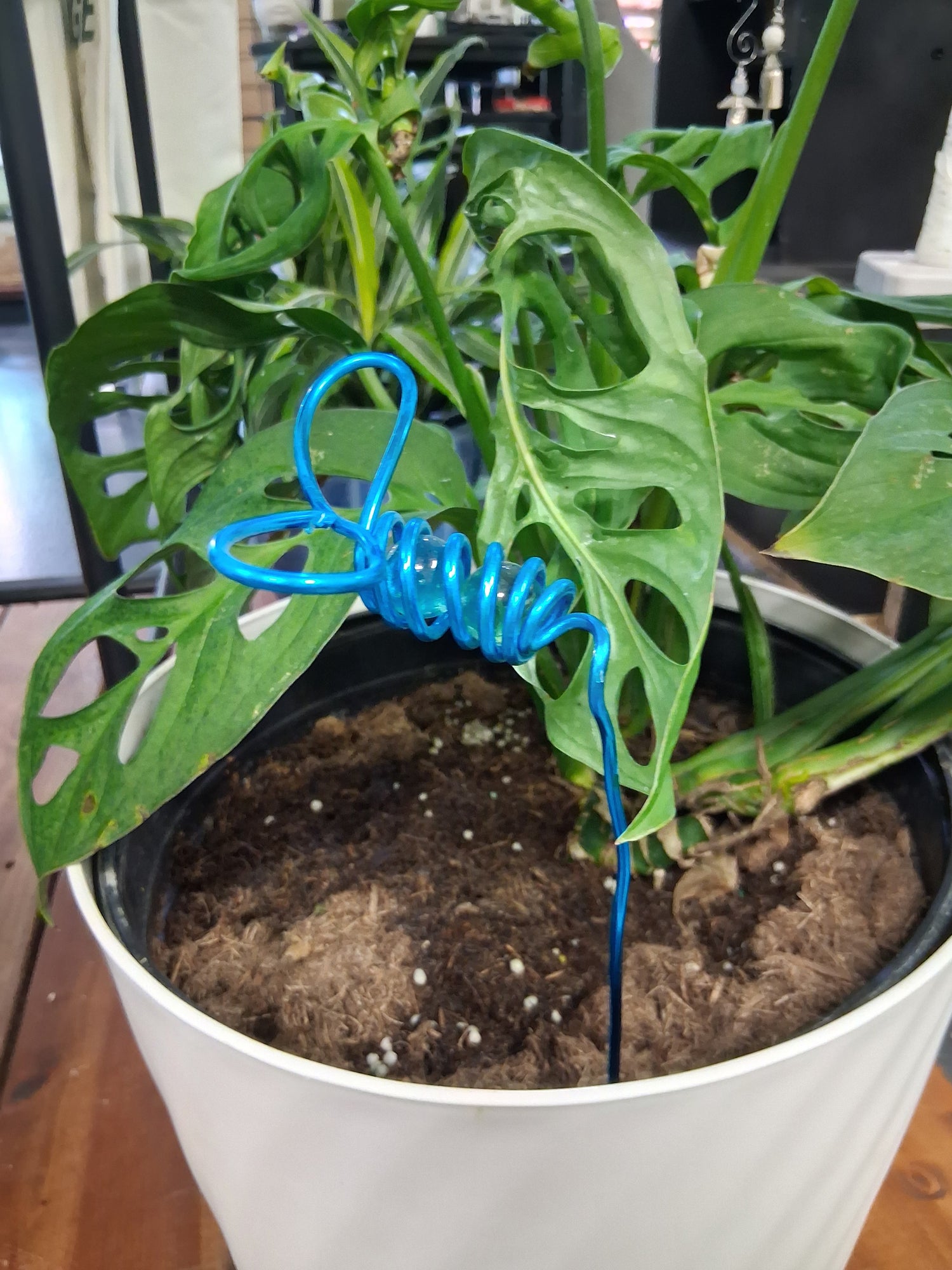 Decorative mini wire and marble plant stakes bring artistic charm to houseplants, terrariums, and plant shelves. Handcrafted botanical accents.