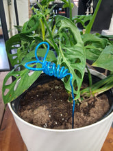Decorative mini wire and marble plant stakes bring artistic charm to houseplants, terrariums, and plant shelves. Handcrafted botanical accents.
