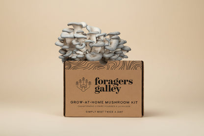 Grow Blue Oyster mushrooms at home with this easy, high-yield kit. Includes a 6 lb block for abundant harvests, rich umami flavor, and multiple flushes.