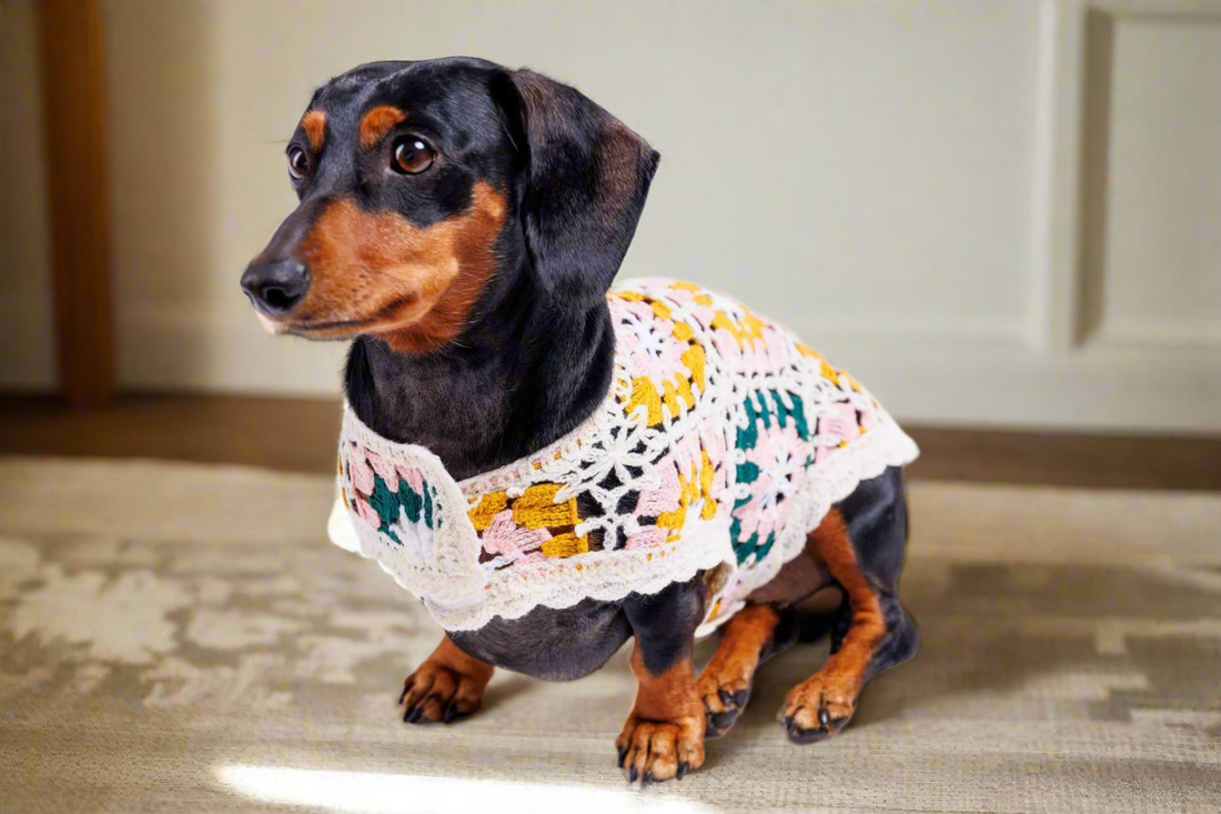 Bubblegum Crochet Dog Pullover Shirt—100% cotton, colorful granny square design. A lightweight dog sweater that keeps pups cool, comfy &amp; full of charm.