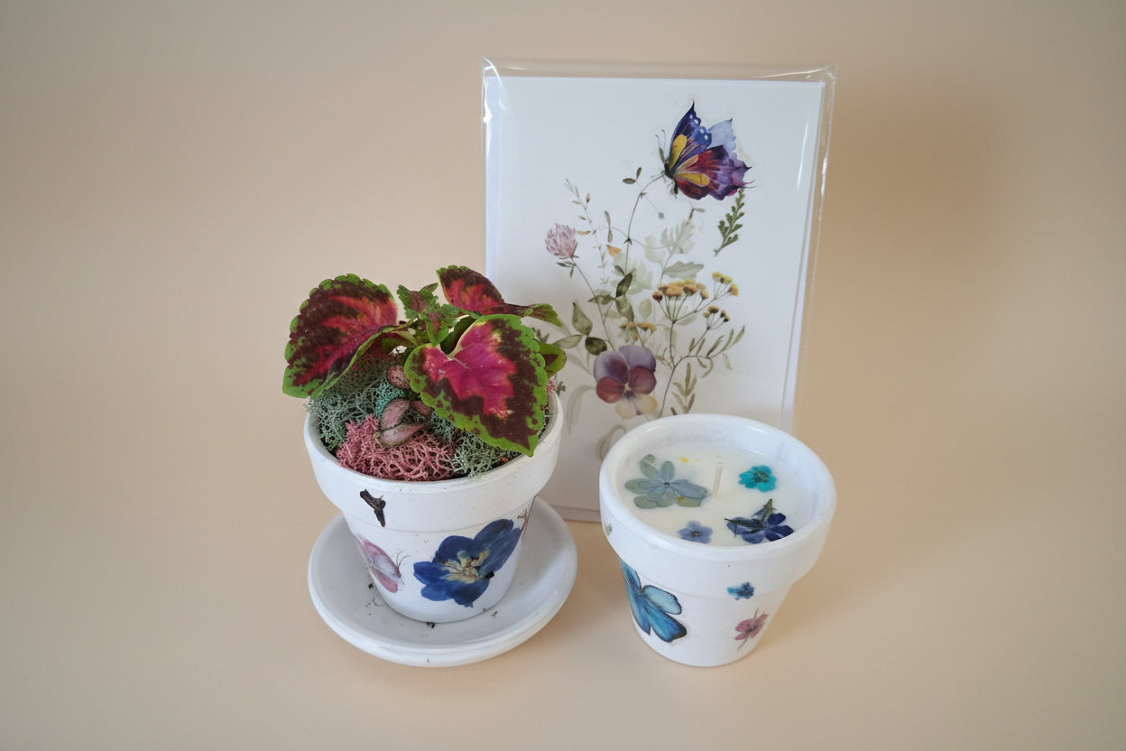 Mother’s Day gift set with live plant, floral terra cotta pot, soy coconut candle, and pressed flower card