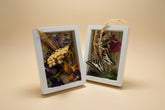 Nature shadow boxes featuring preserved flowers, moss, reeds, butterflies, and insects in 3.5"–5" standing frames. One-of-a-kind botanical curiosity decor. 