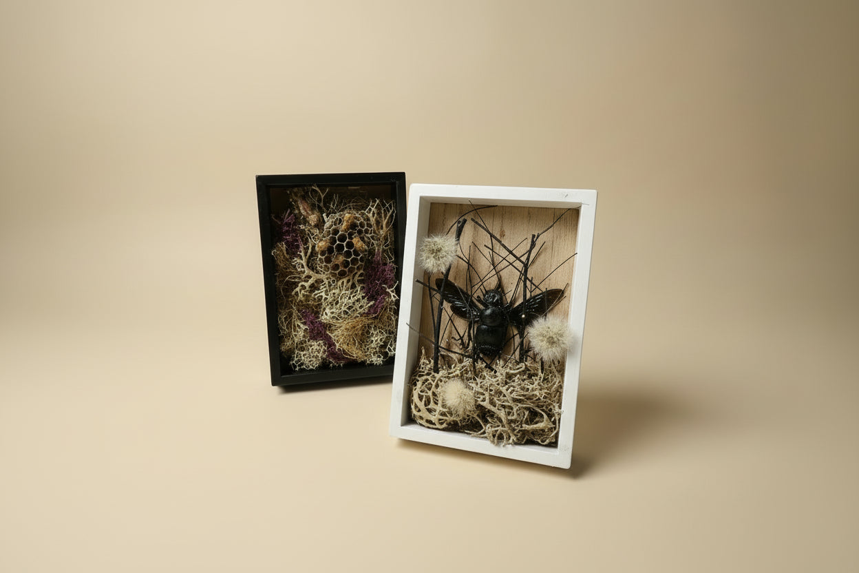 Nature shadow boxes featuring preserved flowers, moss, reeds, butterflies, and insects in 3.5"–5" standing frames. One-of-a-kind botanical curiosity decor. 