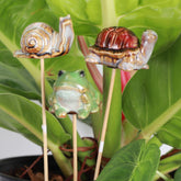 Whimsical ceramic animal plant stakes add charm to any pot or garden. Three cute designs, each 3" wide on a 9" wooden stake. Perfect for gifting—plants not included.