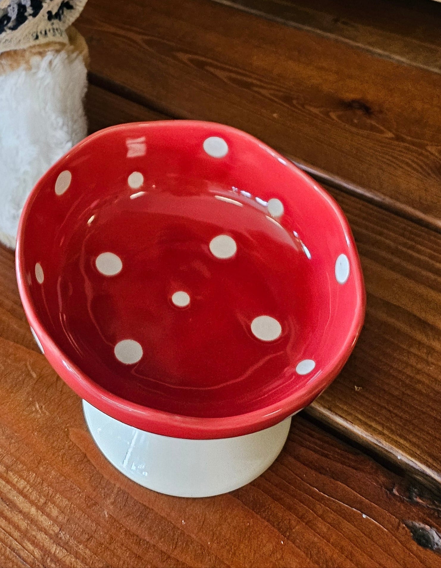 Red ceramic mushroom pet bowl with elevated tilted design. Whisker-friendly, easy to clean, and perfect for cats, kittens, and small dogs.