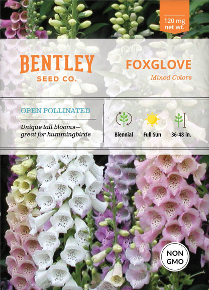Classic foxglove (Digitalis) biennial seeds for cottage gardens. Tall pollinator-friendly blooms that attract hummingbirds, bees, and butterflies.