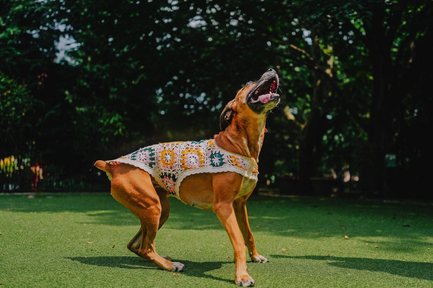Bubblegum Crochet Dog Pullover Shirt—100% cotton, colorful granny square design. A lightweight dog sweater that keeps pups cool, comfy &amp; full of charm.