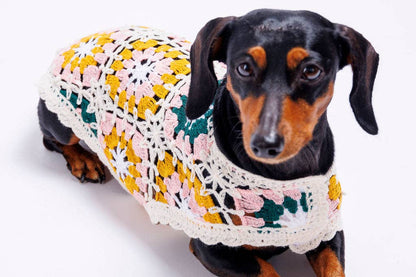 Bubblegum Crochet Dog Pullover Shirt—100% cotton, colorful granny square design. A lightweight dog sweater that keeps pups cool, comfy &amp; full of charm.