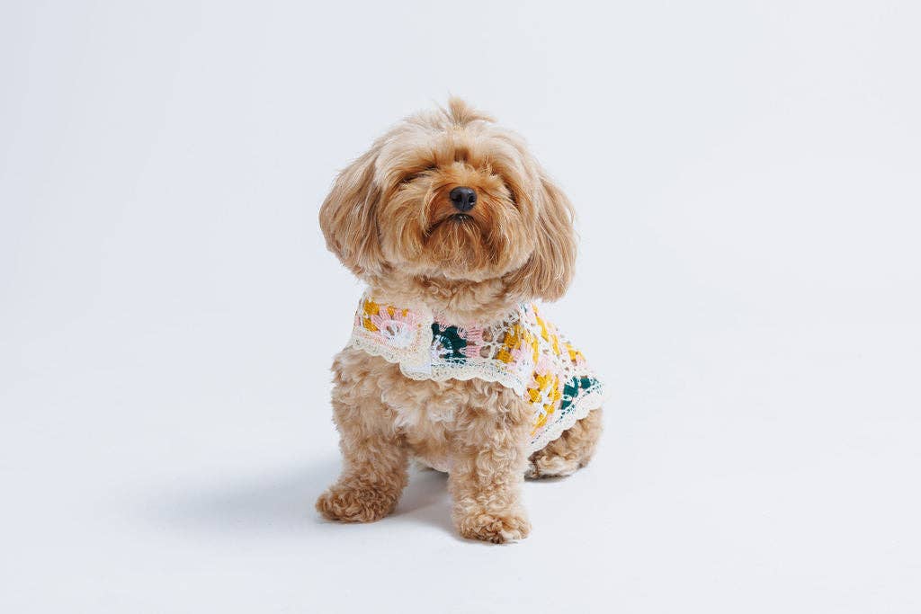 Bubblegum Crochet Dog Pullover Shirt—100% cotton, colorful granny square design. A lightweight dog sweater that keeps pups cool, comfy &amp; full of charm.