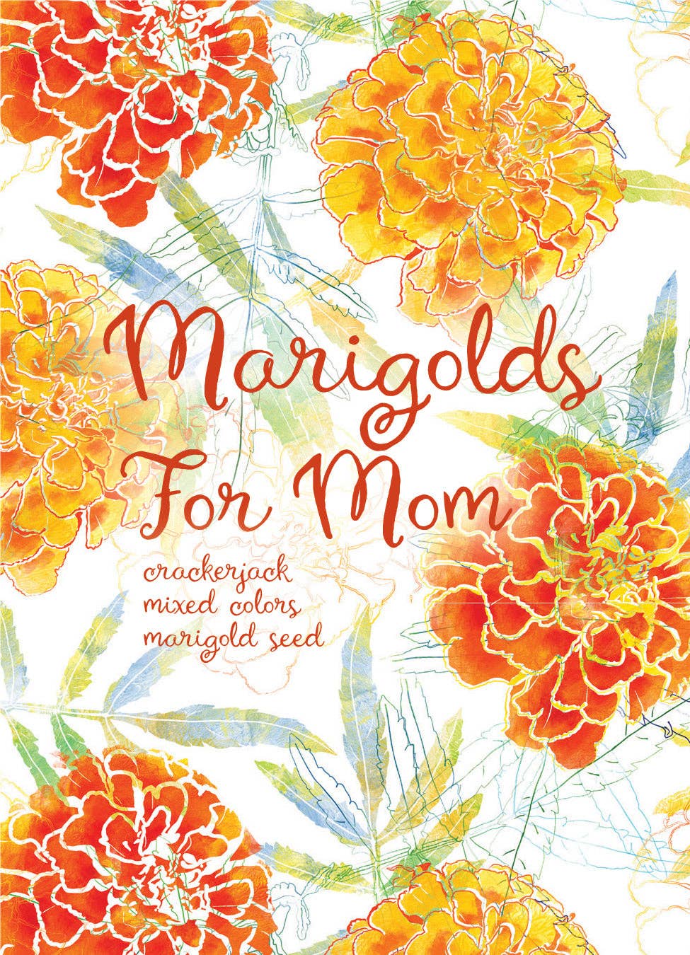 Mother’s Day Crackerjack marigold seed packets with warm orange and yellow blooms. Easy-to-grow container flowers that brighten gardens all summer.