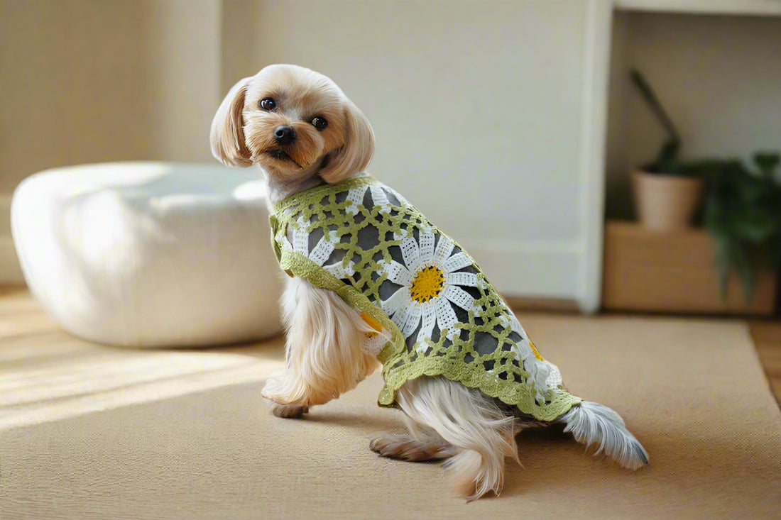 Crochet Dog Pullover Shirt with cheerful daisy pattern. Made from breathable cotton, this lightweight dog sweater keeps pups stylish &amp; comfortable.
