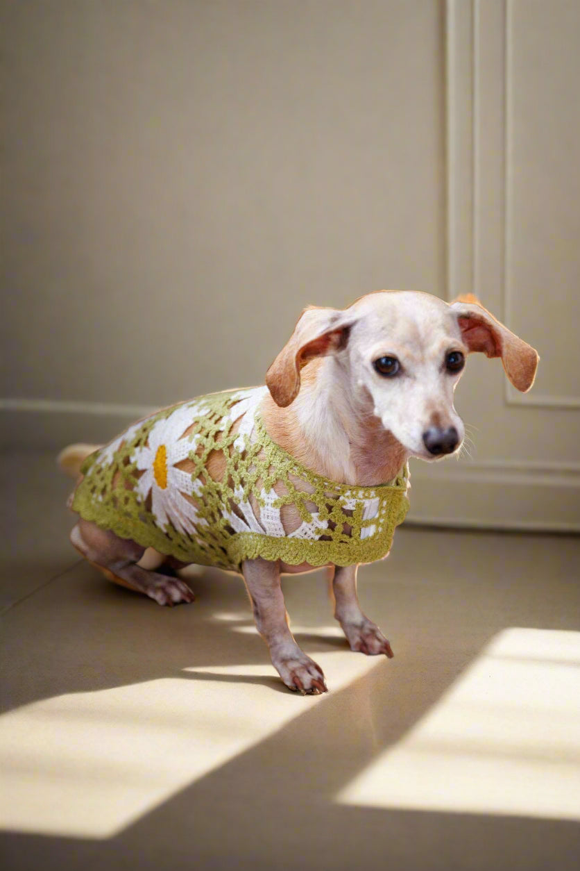 Crochet Dog Pullover Shirt with cheerful daisy pattern. Made from breathable cotton, this lightweight dog sweater keeps pups stylish &amp; comfortable.