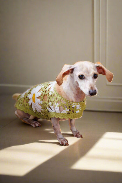 Crochet Dog Pullover Shirt with cheerful daisy pattern. Made from breathable cotton, this lightweight dog sweater keeps pups stylish &amp; comfortable.