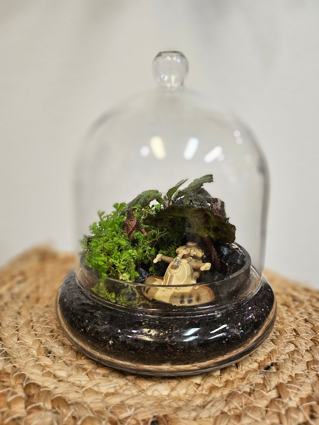 Elevate your home or office with a custom terrarium that’s as unique as you are. Whether you’re a fan of lush greenery, imaginative decor, or both, our custom terrariums are a perfect way to bring a touch of nature and creativity into your life.