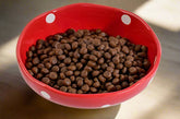 Red ceramic mushroom pet bowl with elevated tilted design. Whisker-friendly, easy to clean, and perfect for cats, kittens, and small dogs.