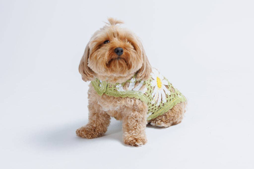 Crochet Dog Pullover Shirt with cheerful daisy pattern. Made from breathable cotton, this lightweight dog sweater keeps pups stylish &amp; comfortable.