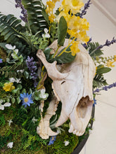 Bear Reclamation by Ryan Doran is a 15" mixed-media installation featuring an open-mouthed bear skull surrounded by preserved wildflowers, moss, and ferns. Encased in a sleek black circular frame, it symbolizes the cycles of life and nature&