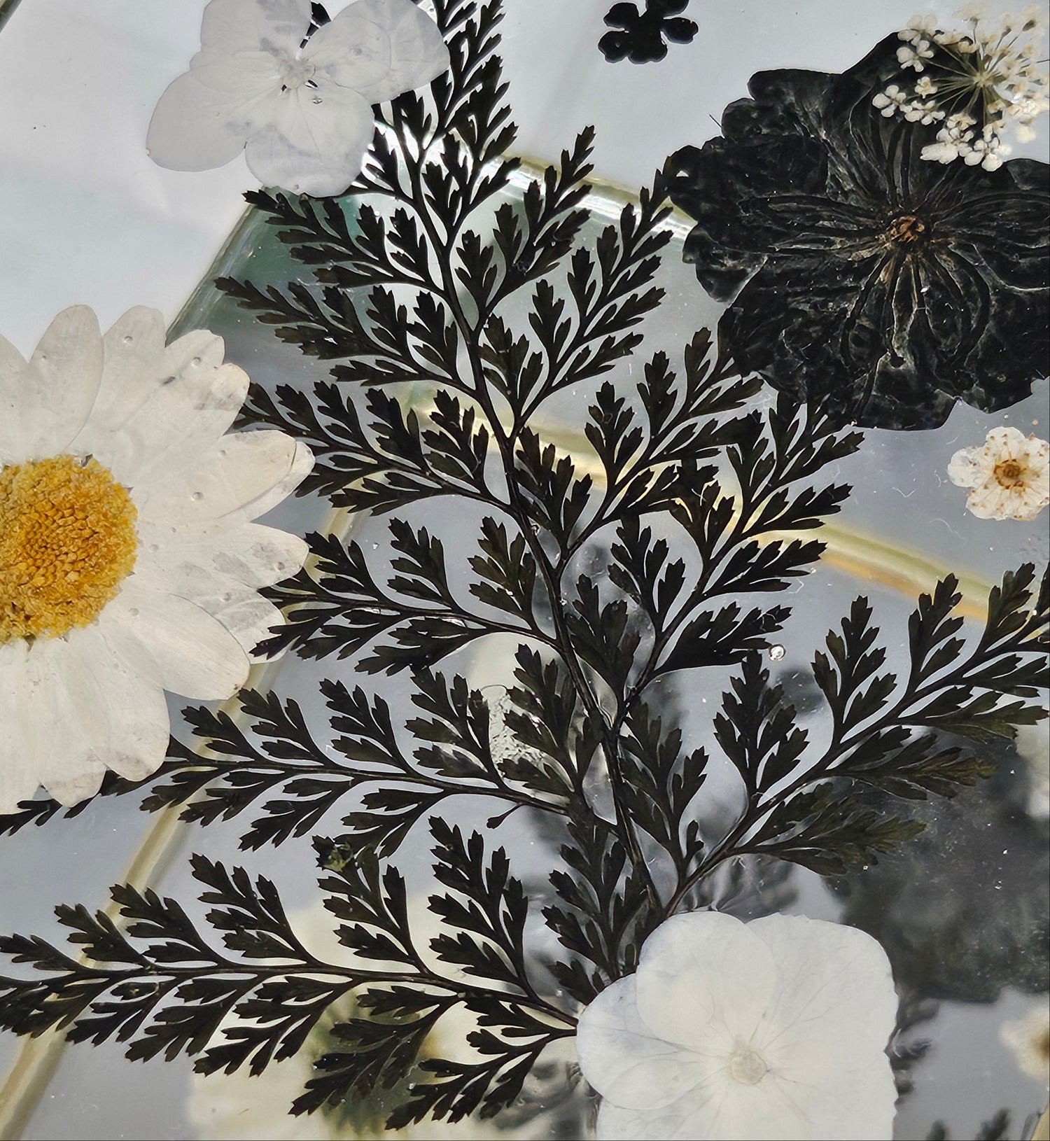Floral mirrored keepsake and jewelry box with real pressed flowers. A 5" botanical glass box by artist Angel Singh, blending elegant storage with preserved floral art.