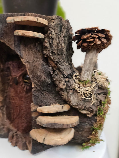 This Hand-Carved Owl &amp; Mushroom Wood Spirit Planter in solid walnut features intricate carved owl and pinecone mushroom details. 100% handmade, each piece is unique and perfect for home decor or garden. The natural walnut grain and artisanal craftsmanship add rustic charm, making it a standout decorative piece for any space.