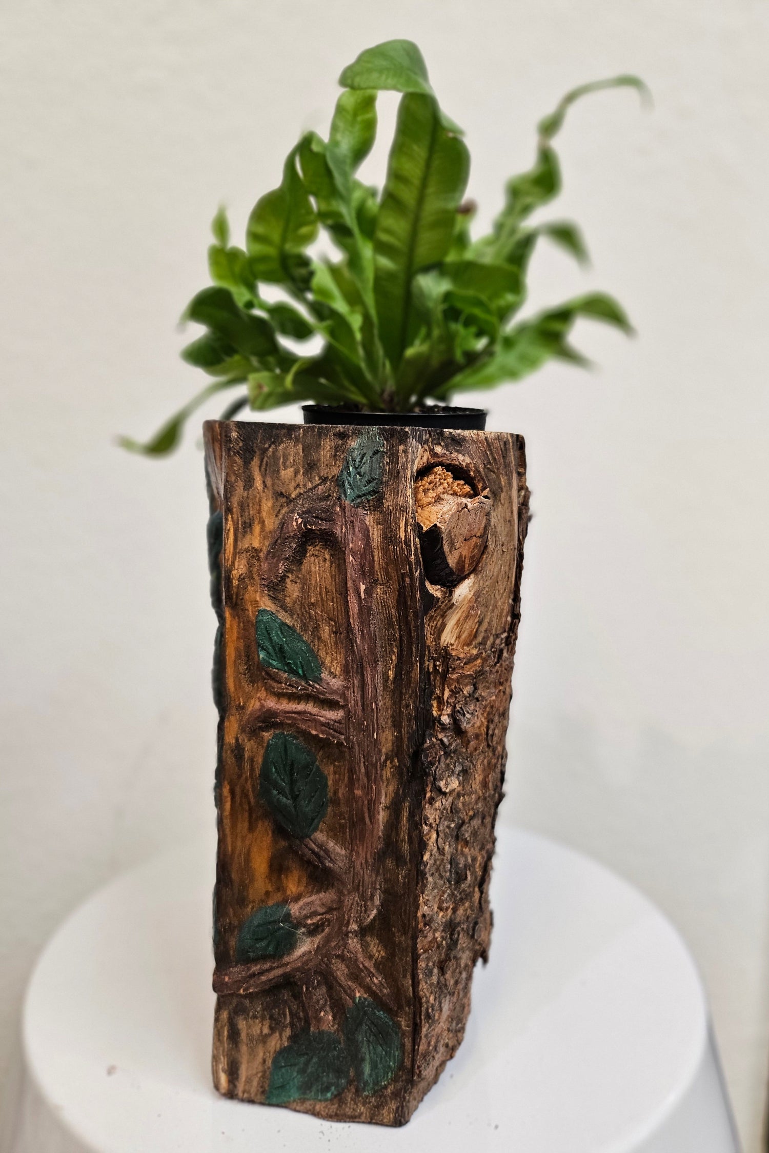 This Hand-Carved &amp; Painted Wood Spirit Planter in solid walnut features intricate details and black-painted accents. 100% handmade, each piece is unique and perfect for home decor or garden. The natural walnut grain and artisanal craftsmanship add rustic charm, making it a standout decorative piece for any space.