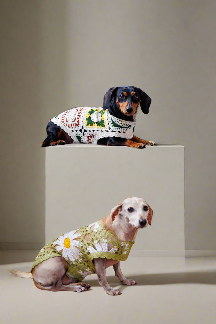Crochet Dog Pullover Shirt with cheerful daisy pattern. Made from breathable cotton, this lightweight dog sweater keeps pups stylish &amp; comfortable.