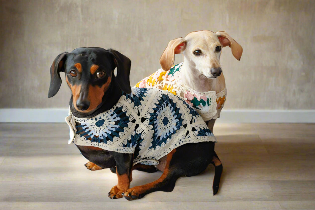 Bubblegum Crochet Dog Pullover Shirt