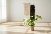 Durable Durable D-shape metal moss pole for Monstera, pothos, and climbing plants. Moisture-retaining sphagnum support promotes bigger leaves and healthy vertical growth. for Monstera, pothos, and climbing plants. Moisture-retaining sphagnum support promotes bigger leaves and healthy vertical growth.