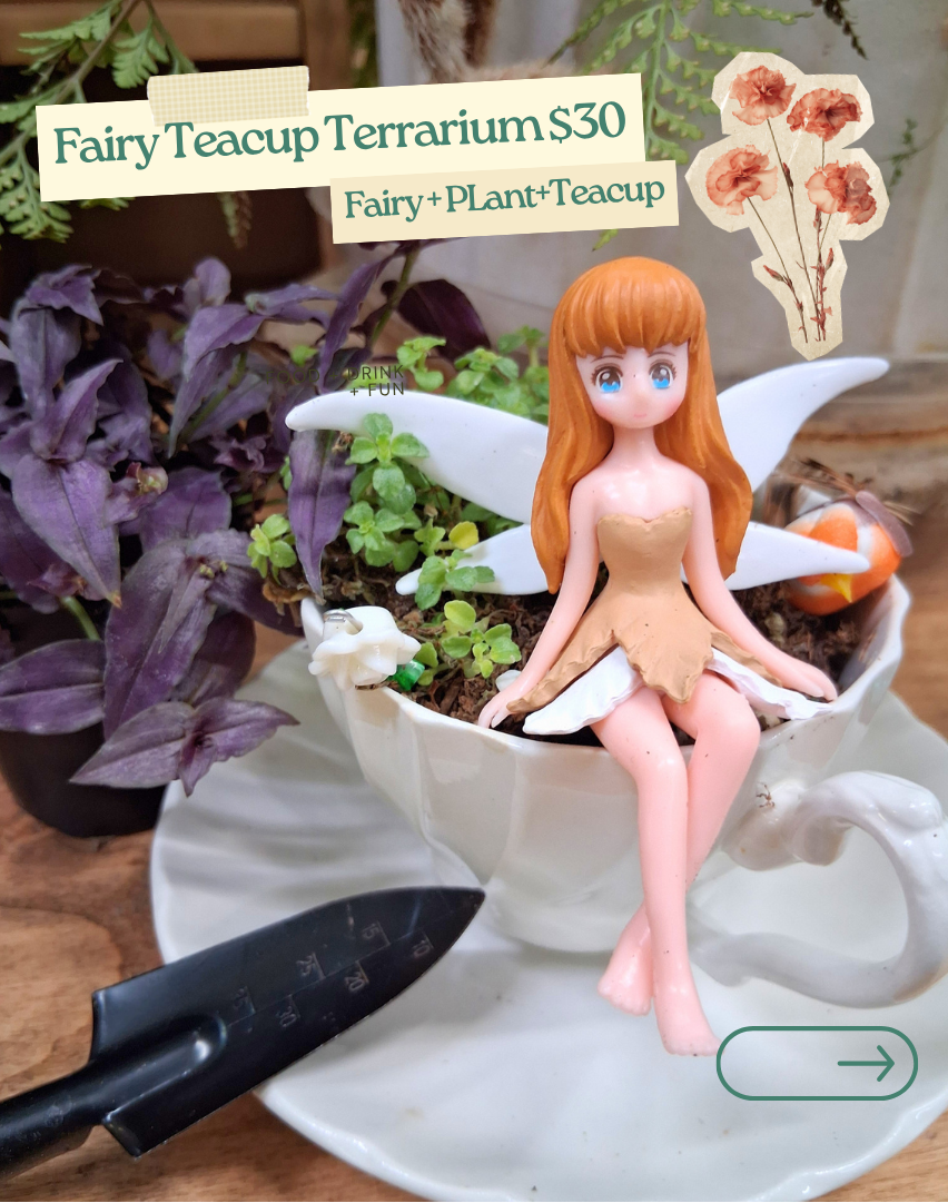 Create a magical Fairy Teacup Terrarium at Jungle Relics. Build a miniature living garden, enjoy tea, and take home a whimsical fairy-inspired creation.