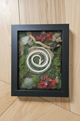 Serpent Spiral is a preserved moss art piece featuring a real spiral snake skeleton—symbolizing rebirth, nature’s cycles, and organic beauty in a 6"x8" frame.