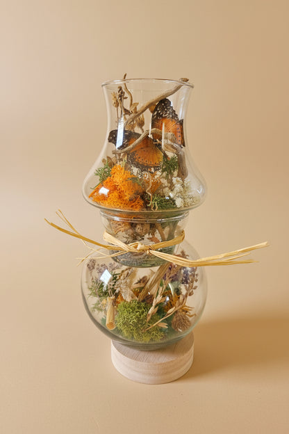 Glass hurricane lantern with a real butterfly, dried autumn flowers, and twigs. A glowing botanical woodland display handcrafted by KStonely.