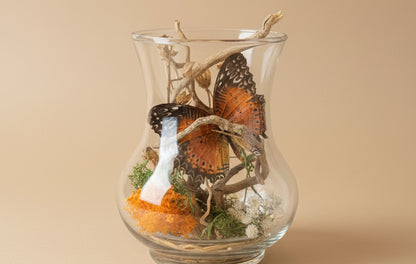 Glass hurricane lantern with a real butterfly, dried autumn flowers, and twigs. A glowing botanical woodland display handcrafted by KStonely.