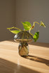 Glass mushroom propagation vase and bud vase perfect for rooting plant cuttings, displaying flowers, and adding whimsical botanical charm.