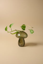 Glass mushroom propagation vase and bud vase perfect for rooting plant cuttings, displaying flowers, and adding whimsical botanical charm.