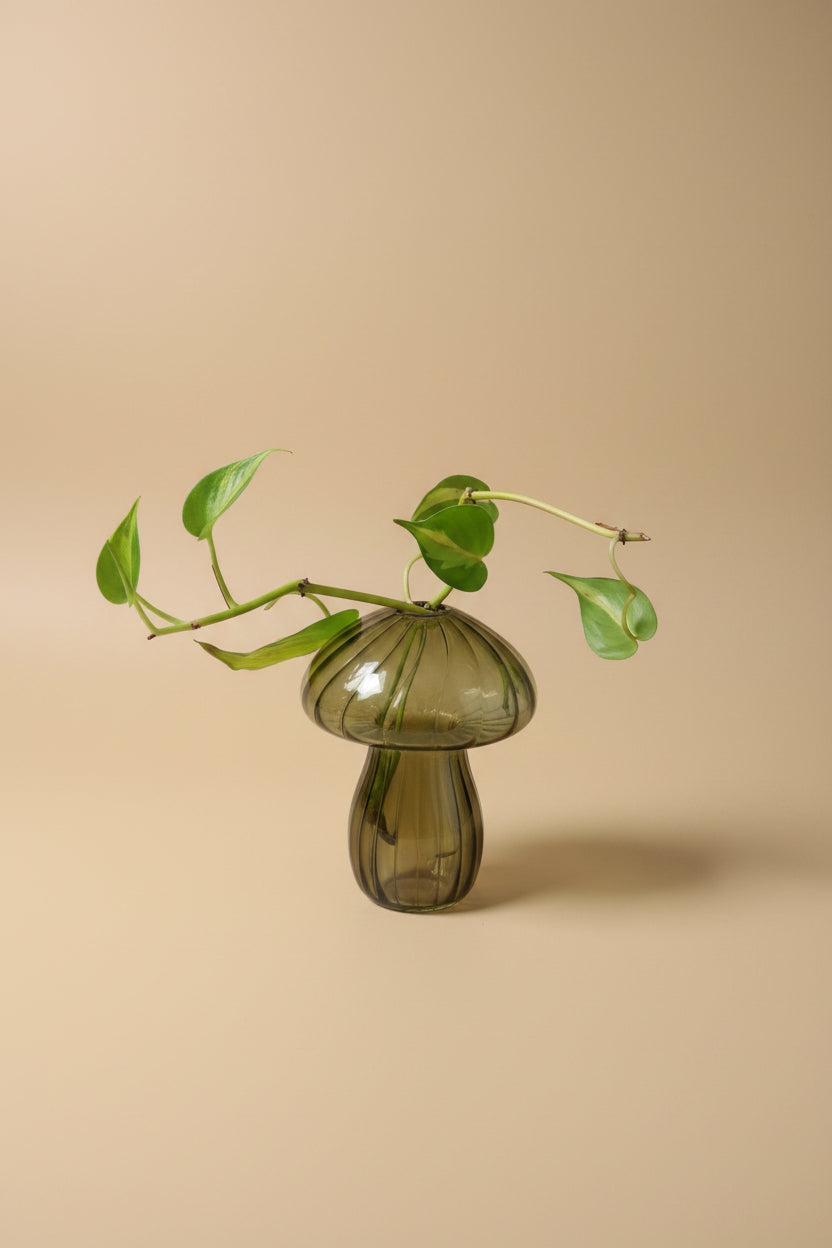 Glass mushroom propagation vase and bud vase perfect for rooting plant cuttings, displaying flowers, and adding whimsical botanical charm.