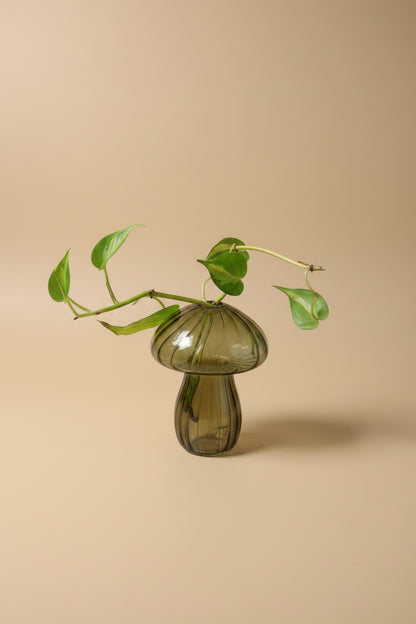 Glass mushroom propagation vase and bud vase perfect for rooting plant cuttings, displaying flowers, and adding whimsical botanical charm.