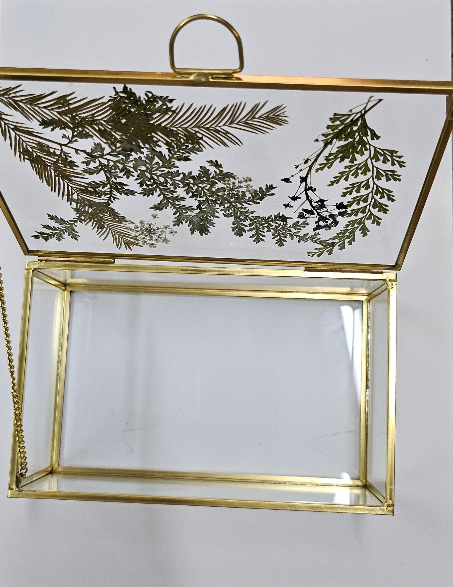 Elegant 6”x4” glass and metal display box with pressed flowers for jewelry, botanicals, and keepsakes. Perfect for showcasing small treasures in a modern, timeless style.