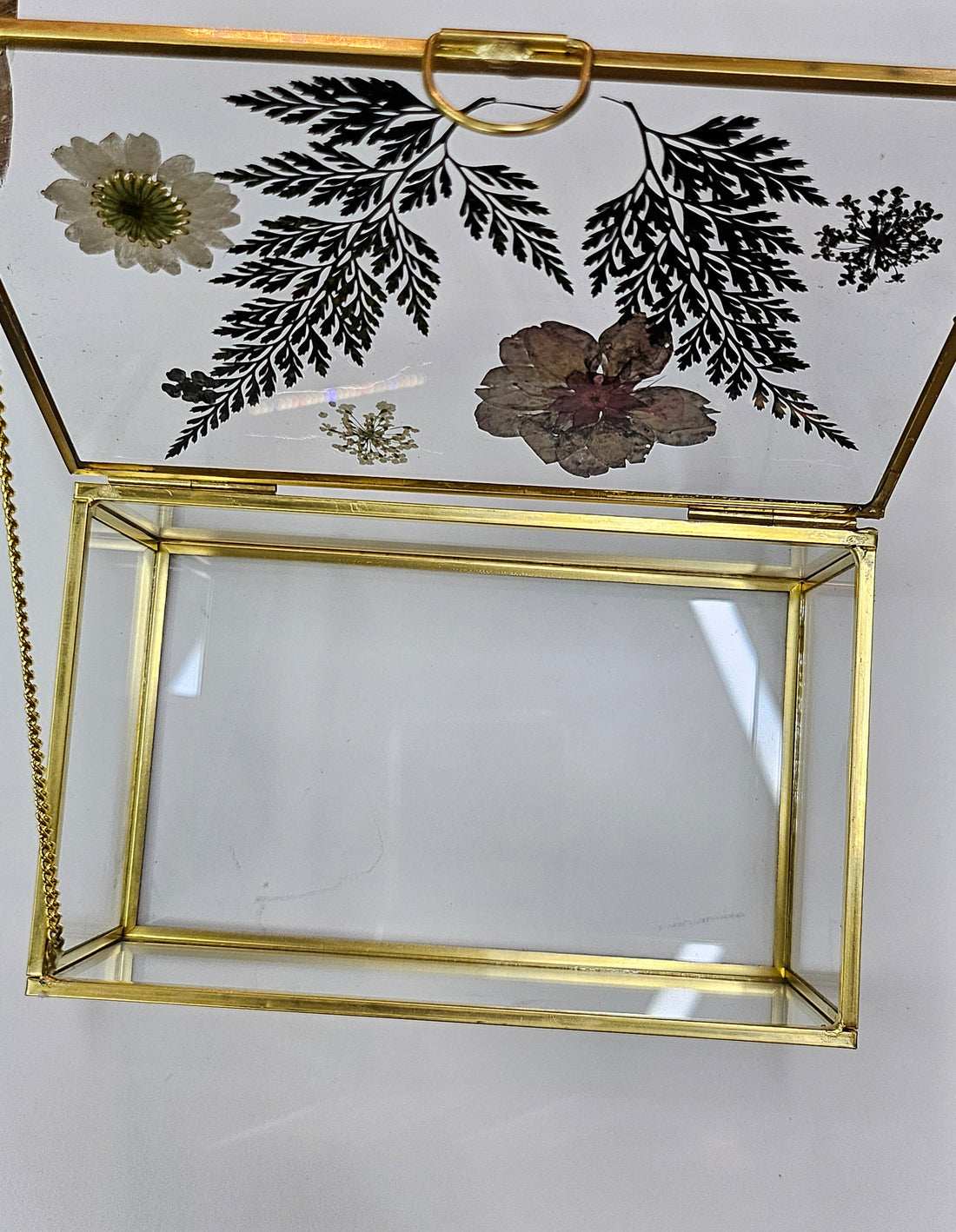 Elegant 6”x4” glass and metal display box with pressed flowers for jewelry, botanicals, and keepsakes. Perfect for showcasing small treasures in a modern, timeless style.