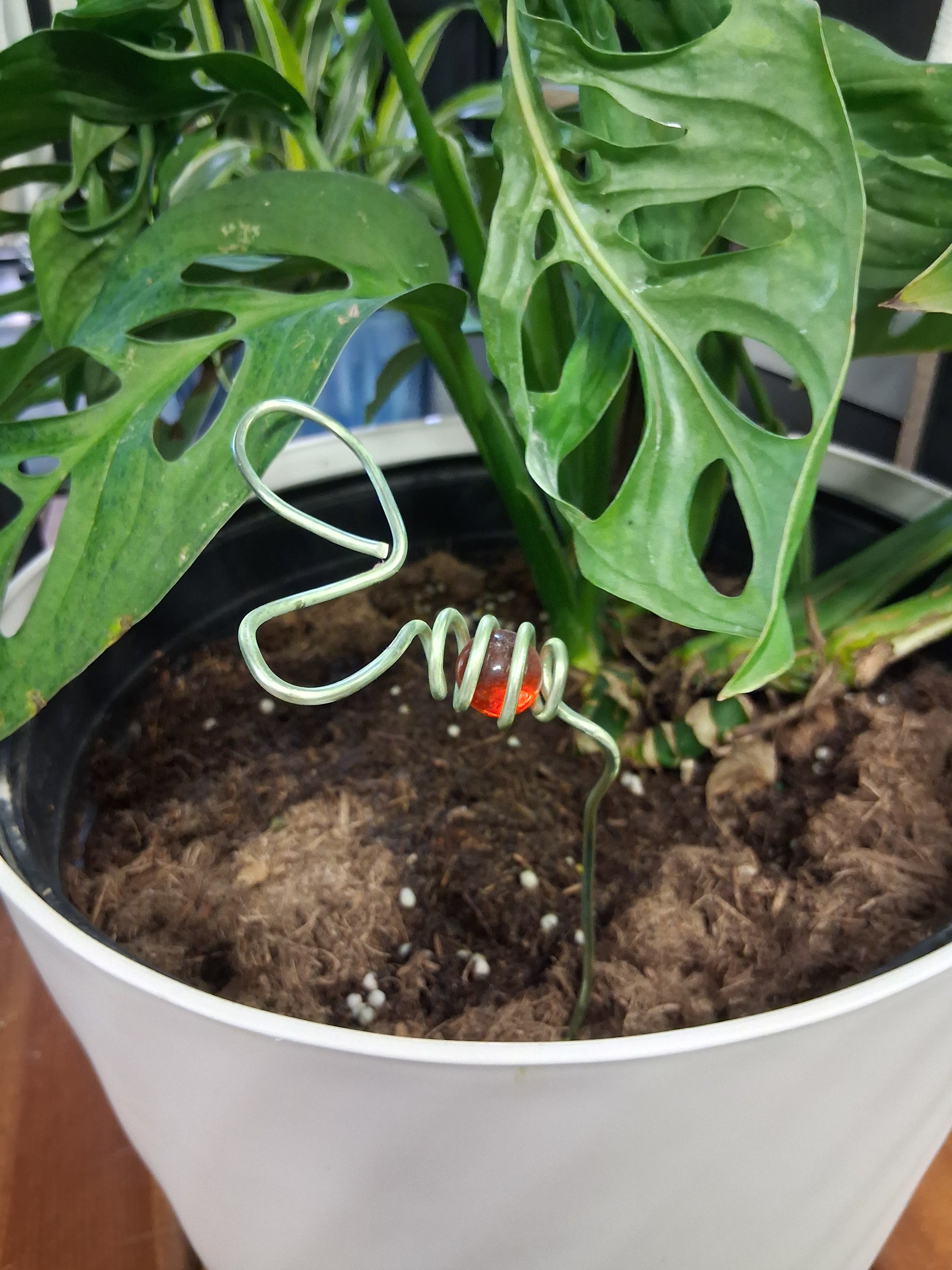 Decorative mini wire and marble plant stakes bring artistic charm to houseplants, terrariums, and plant shelves. Handcrafted botanical accents.