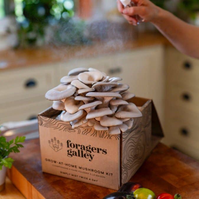 Grow Blue Oyster mushrooms at home with this easy, high-yield kit. Includes a 6 lb block for abundant harvests, rich umami flavor, and multiple flushes.