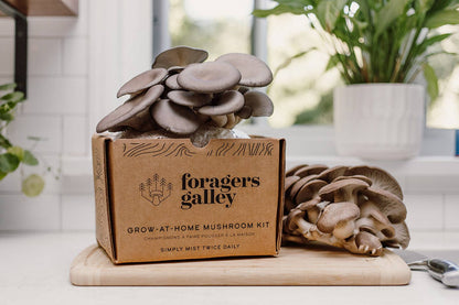 Grow Blue Oyster mushrooms at home with this easy, high-yield kit. Includes a 6 lb block for abundant harvests, rich umami flavor, and multiple flushes.