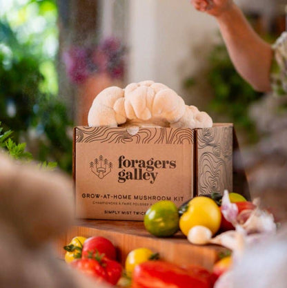 Grow Lion’s Mane mushrooms at home with this beginner-friendly kit. High-yield, top-selling variety with clean umami flavor and cognitive wellness appeal.