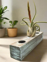 Handcrafted cedar wood planter with a rustic, weathered finish. Lightweight 3-hole design for air plants or succulents. Indoor décor only. Plants not included.