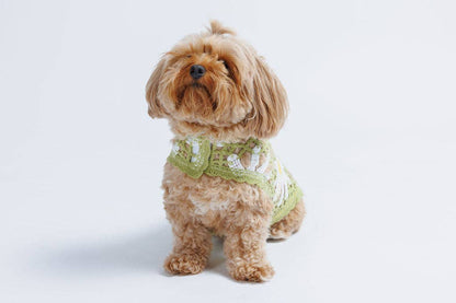 Crochet Dog Pullover Shirt with cheerful daisy pattern. Made from breathable cotton, this lightweight dog sweater keeps pups stylish &amp; comfortable.