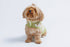 Crochet Dog Pullover Shirt with cheerful daisy pattern. Made from breathable cotton, this lightweight dog sweater keeps pups stylish & comfortable.