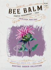 Heirloom Purple Bee Balm (Monarda) perennial seeds. Pollinator-friendly bergamot perfect for teas, herbal gardens, and cottage-style blooms.