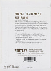 Heirloom Purple Bee Balm (Monarda) perennial seeds. Pollinator-friendly bergamot perfect for teas, herbal gardens, and cottage-style blooms.