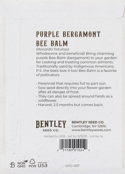 Heirloom Purple Bee Balm (Monarda) perennial seeds. Pollinator-friendly bergamot perfect for teas, herbal gardens, and cottage-style blooms.