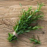 Heirloom rosemary seeds for fragrant perennial herb gardens. Easy-to-grow culinary herb perfect for soups, sauces, and sunny kitchen gardens.