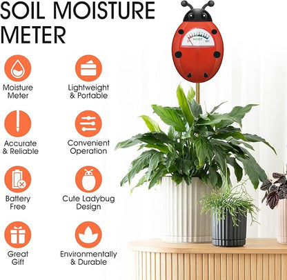 Essential Plant &amp; Terrarium Tool Bundle