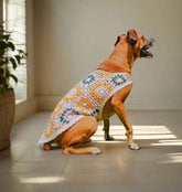Bubblegum Crochet Dog Pullover Shirt—100% cotton, colorful granny square design. A lightweight dog sweater that keeps pups cool, comfy & full of charm.